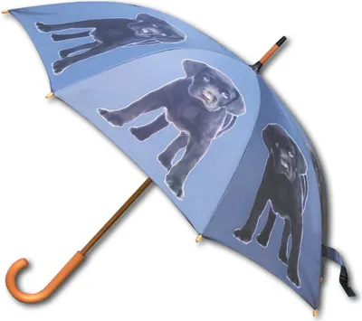 Zdjęcie produktu dla Mars&More regenschirm labrador braun BBPLC