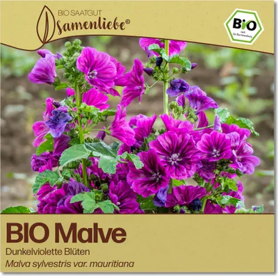 Produktbild von SamenliebeMalve Samen alte Sorte Dunkelviolette Blüten 100 Samen samenfestes Blumen Saatgut für Garten Freiland und BalkonBlumensamen