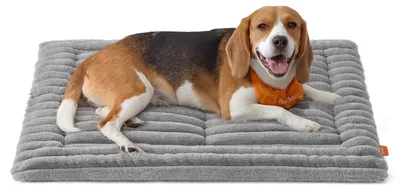 Produktbild von Feandrea Hundedecke für Hunde, Katzen, L, 90 x 65 cm, maschinenwaschbar – Größe L (90 x 65 cm)