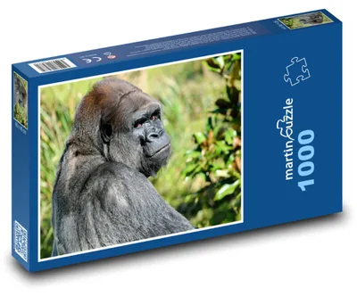 Zdjęcie produktu dla Puzzle 1000 Goryl w dżungli - martinpuzzle