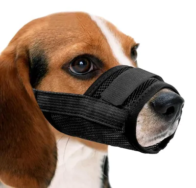 Immagine prodotto di Museruola per cani, nylon a rete, traspirante, colore nero