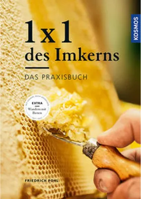 Image de 1 x 1 des Imkerns