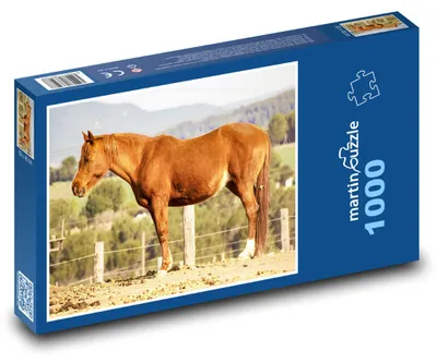 Obrázok produktu pre Puzzle 1000 Hnedý kôň v prírode - martinpuzzle