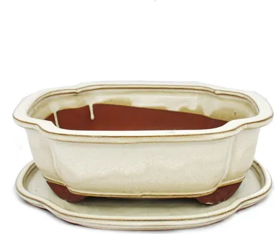 Immagine prodotto di Ciotola bonsai con piattino Gr. 4 - beige chiaro - lungo / ovale - modello I4 - L 26 cm - P 20,5 cm - H 8,5 cm