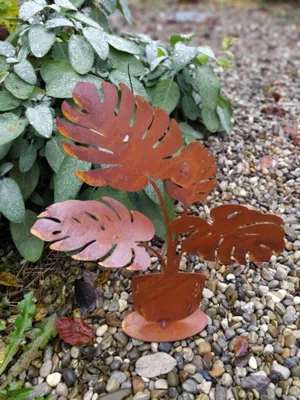 Produktbild von Edelrost Philodendron auf Platte