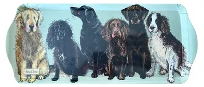 Imagen del producto de Tamaño medio de perros
