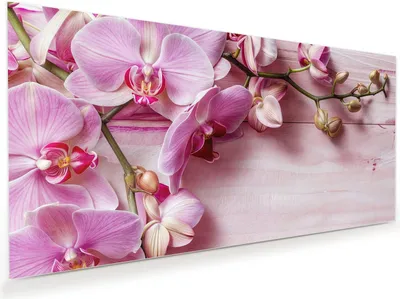Produktbild von Glasbild 100x50cm in XXL für Wohnzimmer, Schlafzimmer Motiv Orchideen Holz Hintergrund