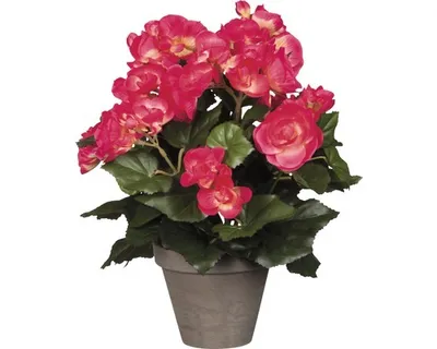 Image de Fleur artificielle bégonia Ø 25 H 30 cm rose