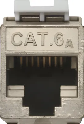 Immagine prodotto di DIGITUS Digitus CAT 6A Keystone module, shielded with intelligent cable manager
