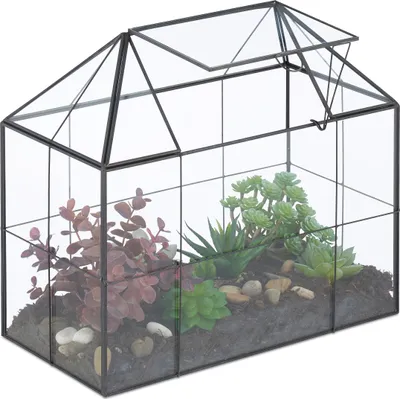 Image de Terrarium végétal Relaxdays, verre et cuivre, 27 x 30 x 15 cm, serre décorative pour cactus et mousse, vitrine de fenêtre, noir