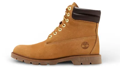 Produktbild von Timberland 6 Inch Basic Boot Wheat - 44.5 Größe: 44.5