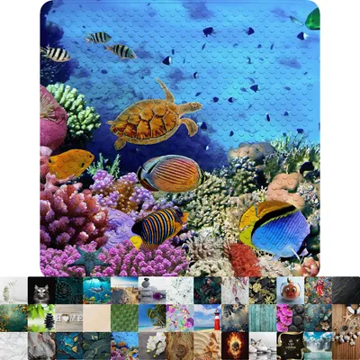 Produktbild von Sanilo Badematte Ocean 53 x 53 cm