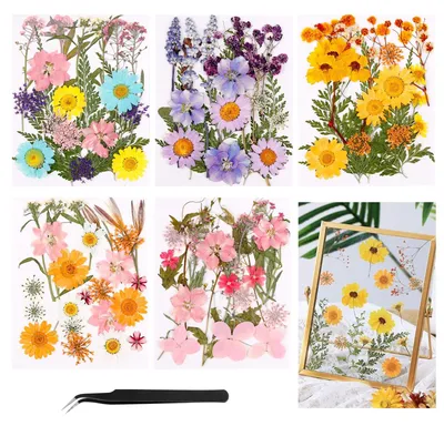 Image de 96 pièces de fleurs naturelles séchées et pressées, idéales pour la décoration