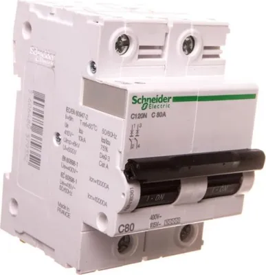 Immagine prodotto di Interruttore miniaturizzato Schneider Electric C120N, 2P, 80A, caratteristica C, 10kA A9N18361