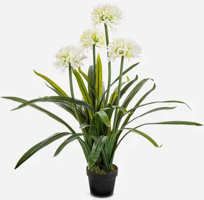 Produktbild von artplants.de Kunstpflanze Pflanze Agapanthus LESEDA im Dekotopf, weiß, 105cm - Künstliche Schmucklilie