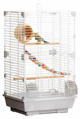 Image de Cage pour oiseaux SolidKeus, 63 cm, avec échelle et mangeoires