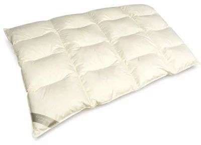 Produktbild von Betten Hofmann 4-Kammer Daunenbett Steppdecke Daunendecke 135x200 cm 1200 g  60% Daunen warm