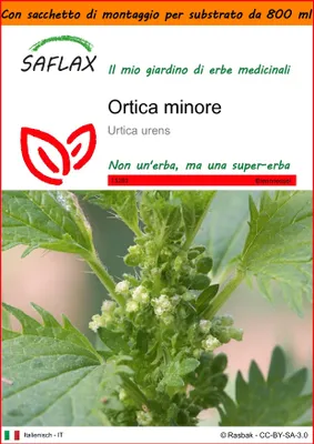 Immagine prodotto di SAFLAX Garden in the bag - Ortica minore - 150 semi - Urtica