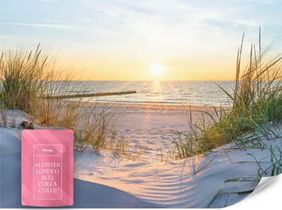 Produktbild von Muralo Vlies Fototapete STRAND Meer Sonnenuntergang Dünen Landschaft 3D 450x315