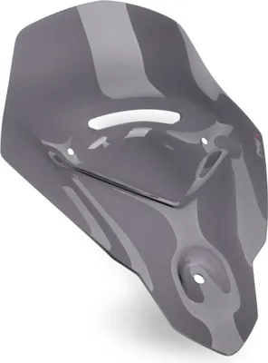 Produktbild von Puig 21318f Sport Triumph Tiger Sport 660 22 Windschutzscheibe Silber Silber One Size