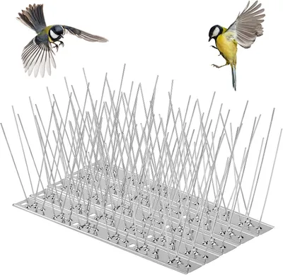 Image de Piquets anti-oiseaux en acier inoxydable, longueur 3 mètres, pour balcon et jardin