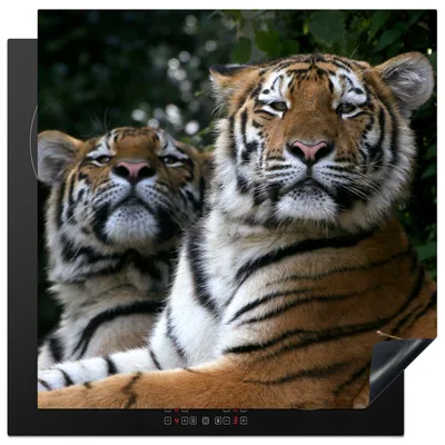 Produktbild von KitchenYeah© Herdabdeckplatte Tiger - Wald - Köpfe , 78x78cm, Küche Deko, Glaskeramikkochfeld Herdabdeckung, Abdeckplatte fùr Kochfeld