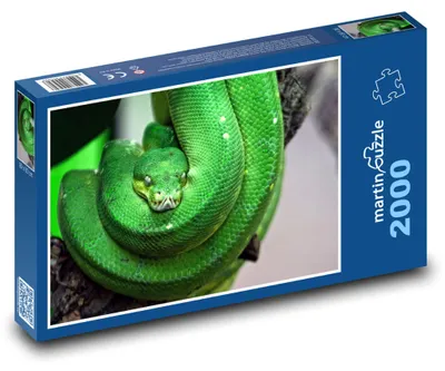 Obrázok produktu pre Puzzle 2000 Zelený had na vetve - martinpuzzle