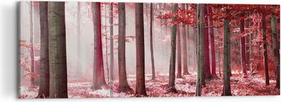 Produktbild von Bild auf Leinwand - Leinwandbild - 3 Teile - Wald Rot Bäume - 120x40cm - Wand Bild - Wanddeko - Wandbilder - Leinwanddruck - Bilder - Wanddekoration - Leinwand bilder - Wandbild - CA120x40-4944
