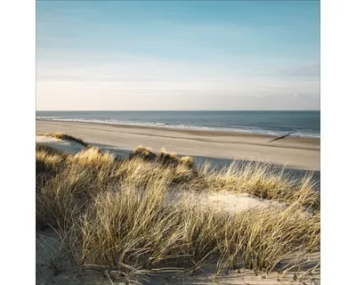 Produktbild von Glasbild Lost Dunes II 50x50 cm