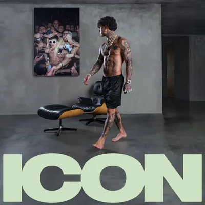 Produktbild von Icon [Vinyl LP]