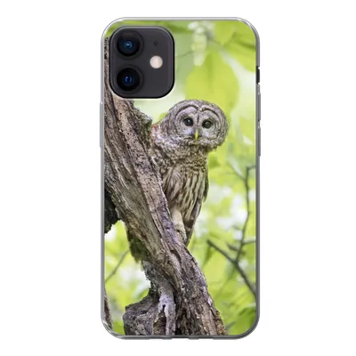 Produktbild von MuchoWow® Handyhülle Schutzhülle Hülle für iPhone 12 Eule - Wald - Licht Silikon Softcase Handy Hülle - Schutzhülle
