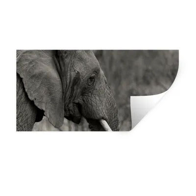 Produktbild von MuchoWow® Wandtattoo Wandsticker Wandaufkleber Elefant - Tiere - Schwarz - Weiß 80x40 cm Selbstklebend und Repositionierbar - Aufkleber