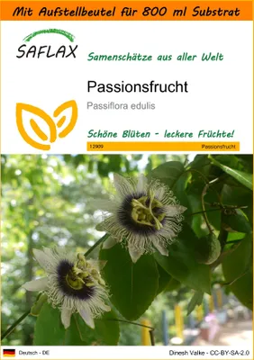 Produktbild von SAFLAX Garden in the bag - Passionsfrucht - Passiflora edulis - 40 Samen - Mit Anzuchtsubstrat im praktischen, selbst aufstellenden Beutel
