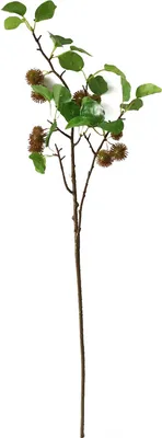 Produktbild von Beerenzweig 87 cm Kunstpflanze Flora