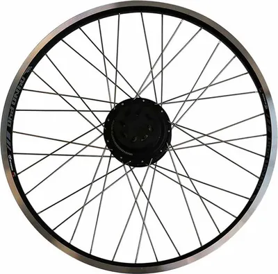 Produktbild von Protanium Hinterrad Babboe, 7G, 26 Zoll