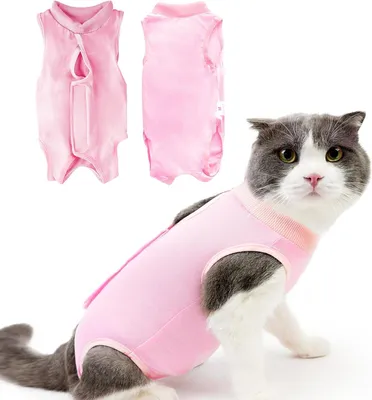 Produktbild von Genesungsweste für Katzen, Genesungsanzug für Katzen bei Bauchwunden oder Hautkrankheiten, Kittenanzug nach Operationen (M, Rosa)
