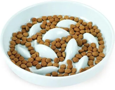 Produktbild von Keramik Anti-Schrobfutter für Katzen grün