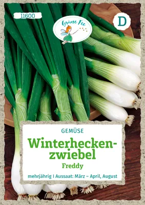 Produktbild von Grüne Fee - Winterheckenzwiebel Freddy Samen - 11600