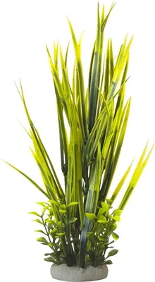 Produktbild von Nobby Aquariendekoration Aqua Ornaments ValliIsneria, Maße: 7 x 7 x 32,5 cm