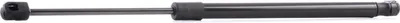 Produktbild von RIDEX 219G0259 Gasfeder Heckklappendämpfer für FIAT 500 (312) 460mm