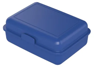 Immagine prodotto di Scatola per il pranzo "School-Box" - Scatola per il pranzo senza BPA per bambini e adulti - Scatola per il pranzo resistente per la scuola, il lavoro e l'avventura,  Germany - PP blu standard