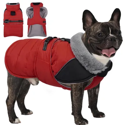 Produktbild von Hunde Wintermantel Wasserdicht Warm mit Geschirr Rot M
