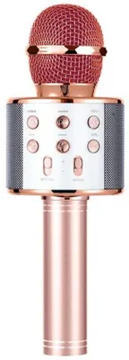 Produktbild von Kinder Bluetooth-Mikrofon - Draadloos - Karaokemikrofon - Portable - Vielseitig - Für Erwachsene, Kinder, Urlaube, Familien, Outdoor-Aktivitäten