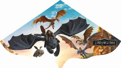 Image de Cerf-volant pour enfants Gunther Domptage de dragons facile GU1212 bleu 115 x 63 cm