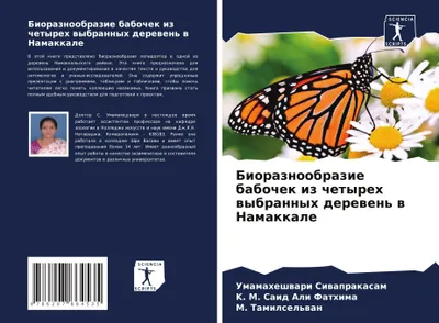 Produktbild von Bioraznoobrazie babochek iz chetyreh wybrannyh derewen' w Namakkale