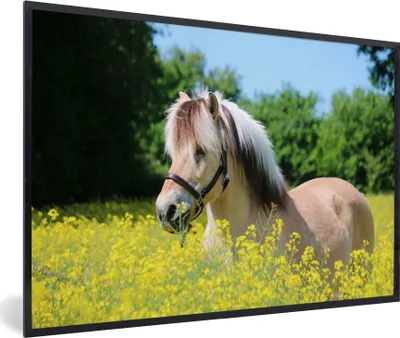 Produktbild von MuchoWow® MuchoWow® Gerahmtes Poster Pferd - Blumen - Gelb 90x60 cm - Poster mit zchwarzem Bilderrahmen - Fotorahmen - Foto-Plakat