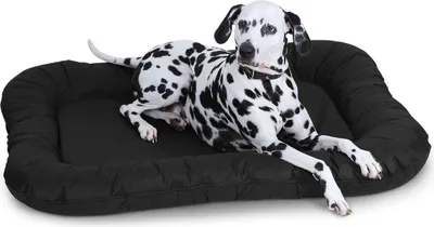 Produktbild von Knuffelwuff Wasserfestes In und Outdoor Hundebett Lucky aus Nylongewebe XL 90 x 75cm Schwarz