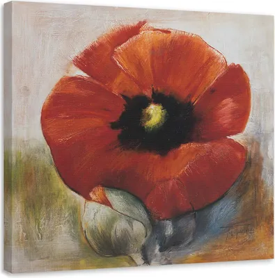 Obrázok produktu pre Obraz na plátne ako ručne maľovaný mak a púčik 40x40 cm Feeby červená maľba na stenu pripravené na zavesenie