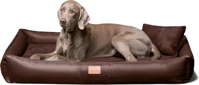Produktbild von tierlando® Orthopädische Hundematratze CLIFFORD LATEX SOFT Kunstleder Velours - Größe: 85x60cm | Farbe: 01 Braun