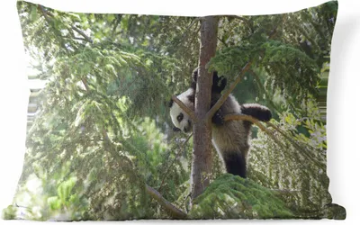 Produktbild von MuchoWow® Outdoor Kissen - Panda - Baum - Blätter - 50x30 cm - Wetterfest - Lounge Kissen - Sofa kissen - Wohnzimmer Dekoration